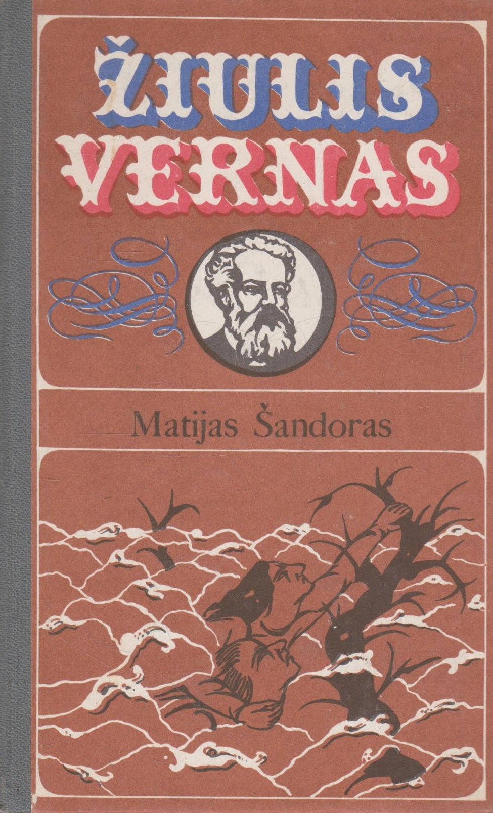 Žiulis Vernas - Matijas Šandoras