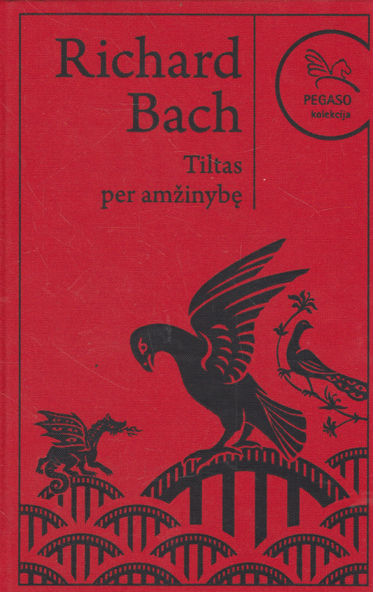 Richard Bach - Tiltas per amžinybę