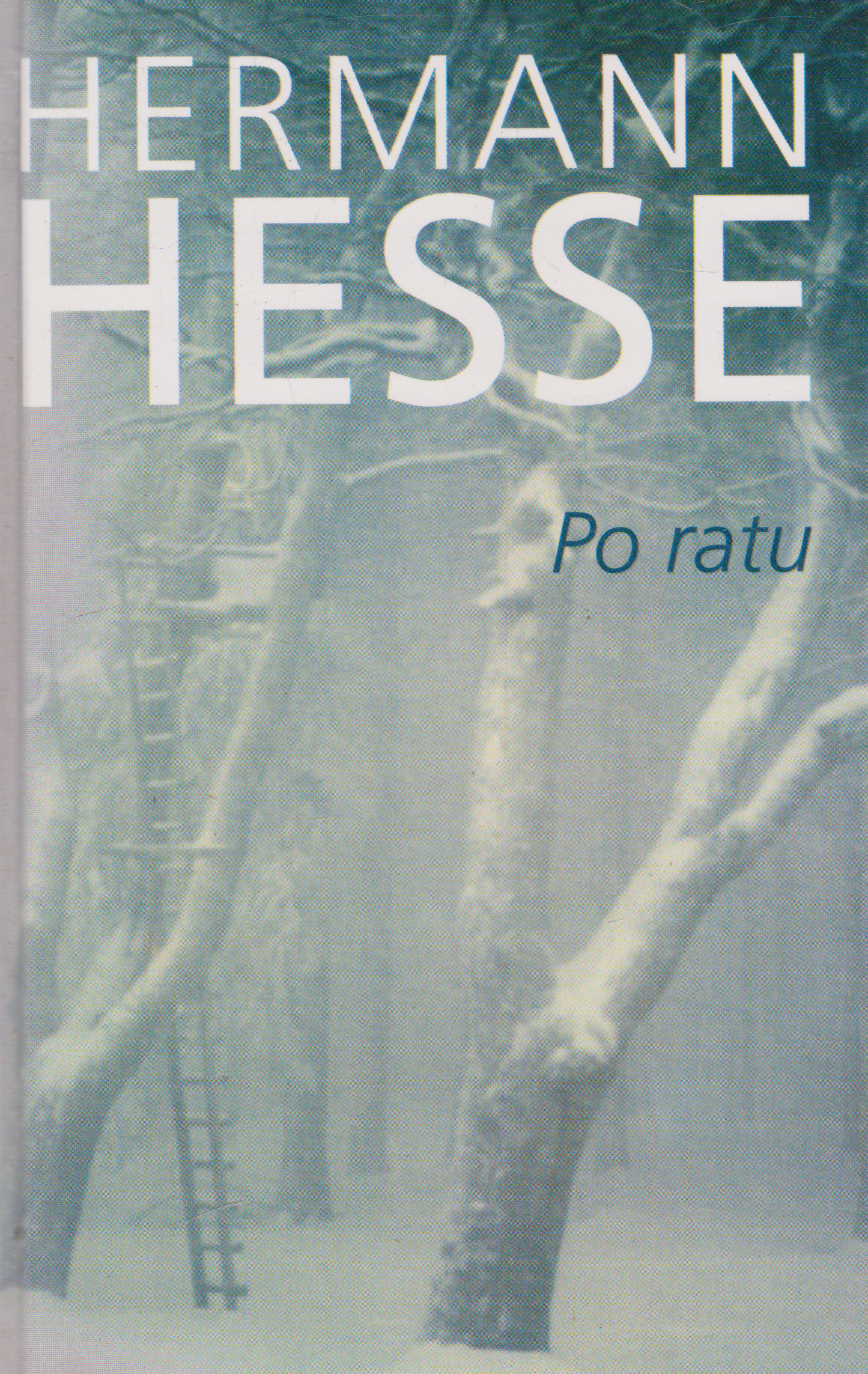 Hermann Hesse - Po ratu