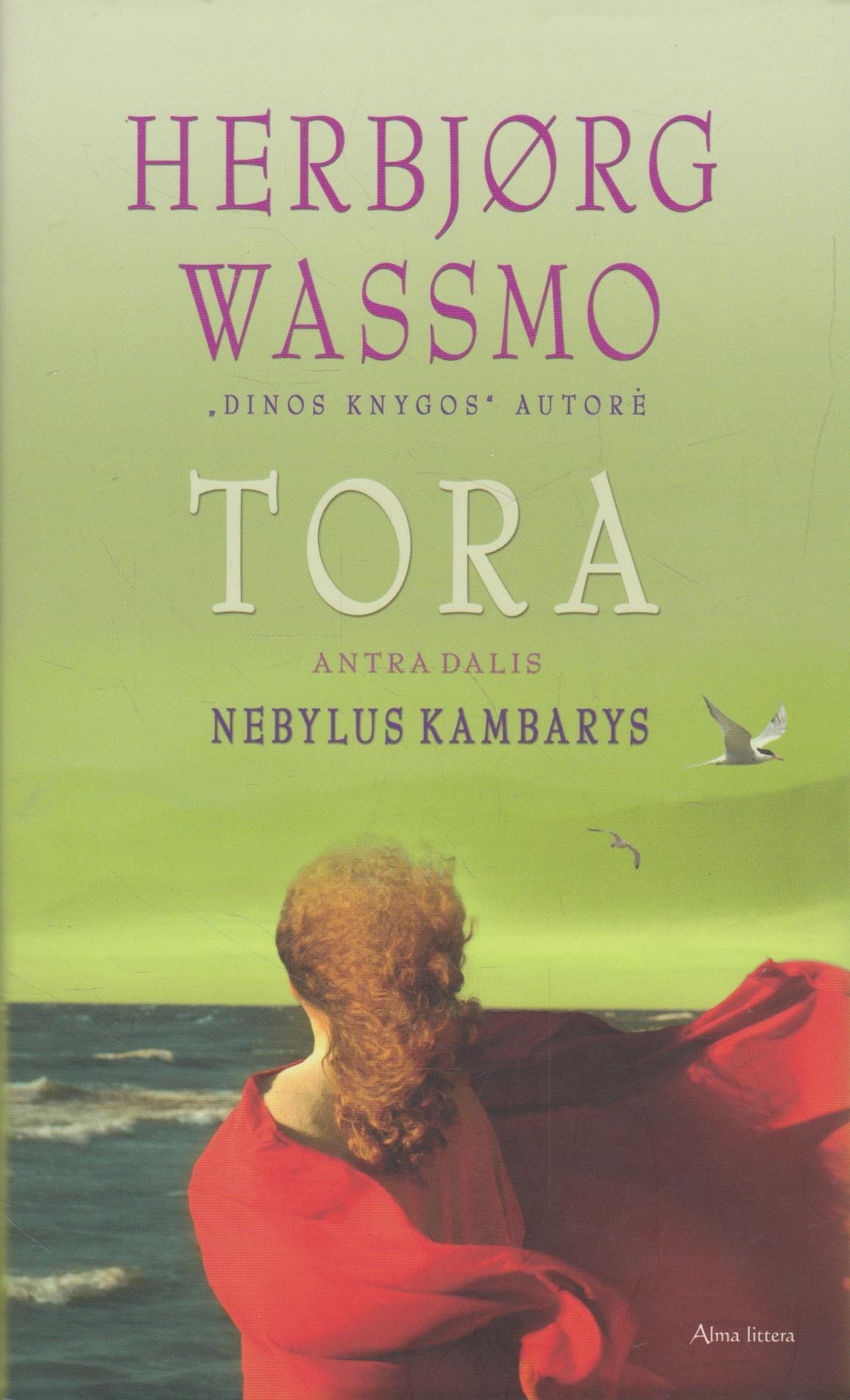 Herbjørg Wassmo - Tora: Nebylus kambarys II dalis