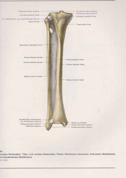 Atlas der Anatomie des Menschen (žmogaus anatomijos atlasas)