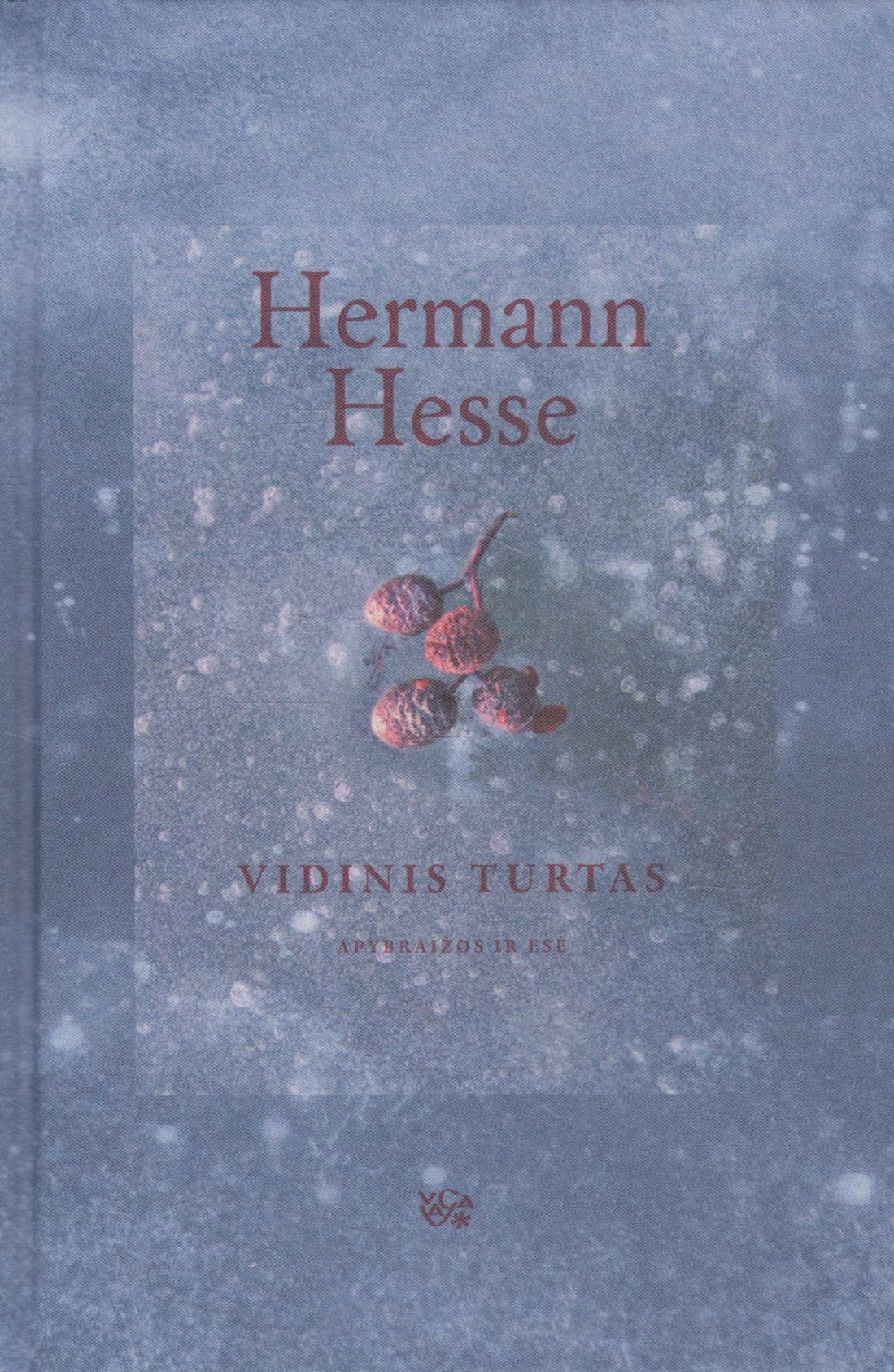 Hermann Hesse - Vidinis turtas